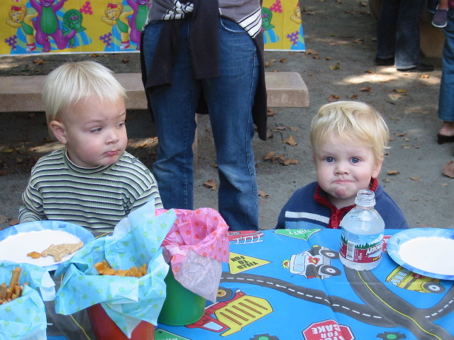 2nd annual mom's group bday party: Yorick and Toby