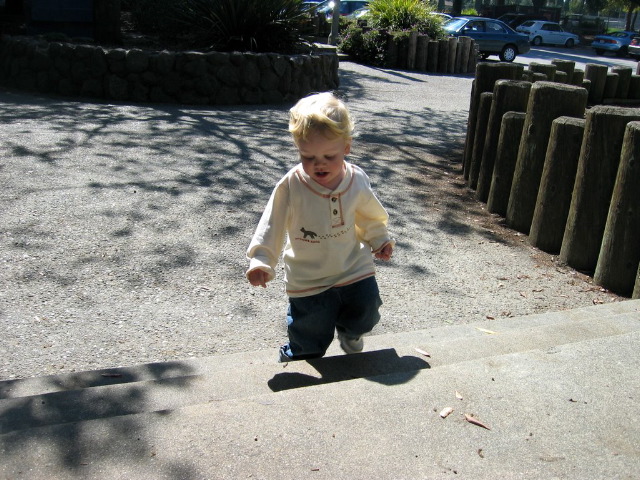 2nd annual mom's group bday party: Toby