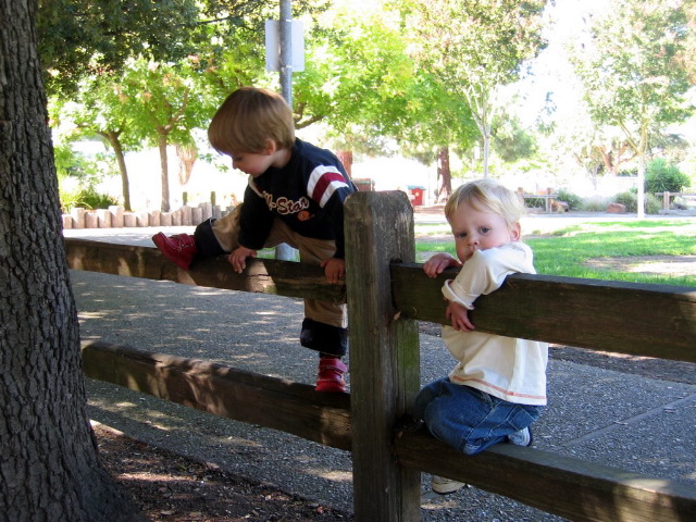 2nd annual mom's group bday party: Bogomil & Toby